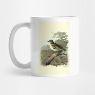 Golden Crested Wren Mug